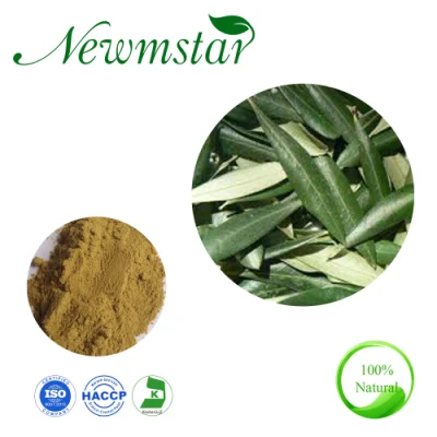 Olive Leaf Extract Immunity Enhancement Olea Europaea L 10% 20% Oleuropein